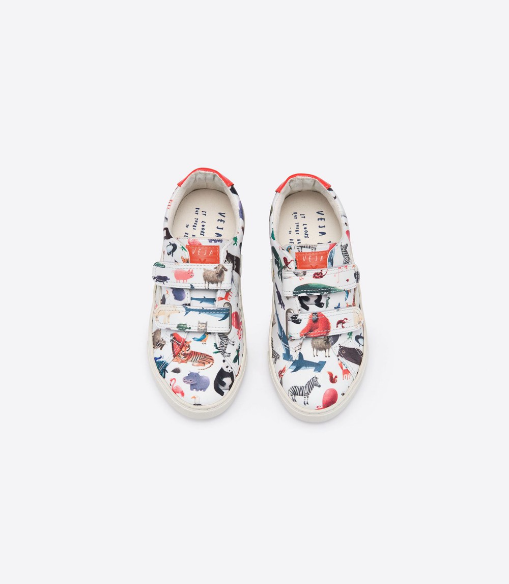 Veja Trainers Kids Multicolor - Esplar Velcro Leather - KGDI-07214